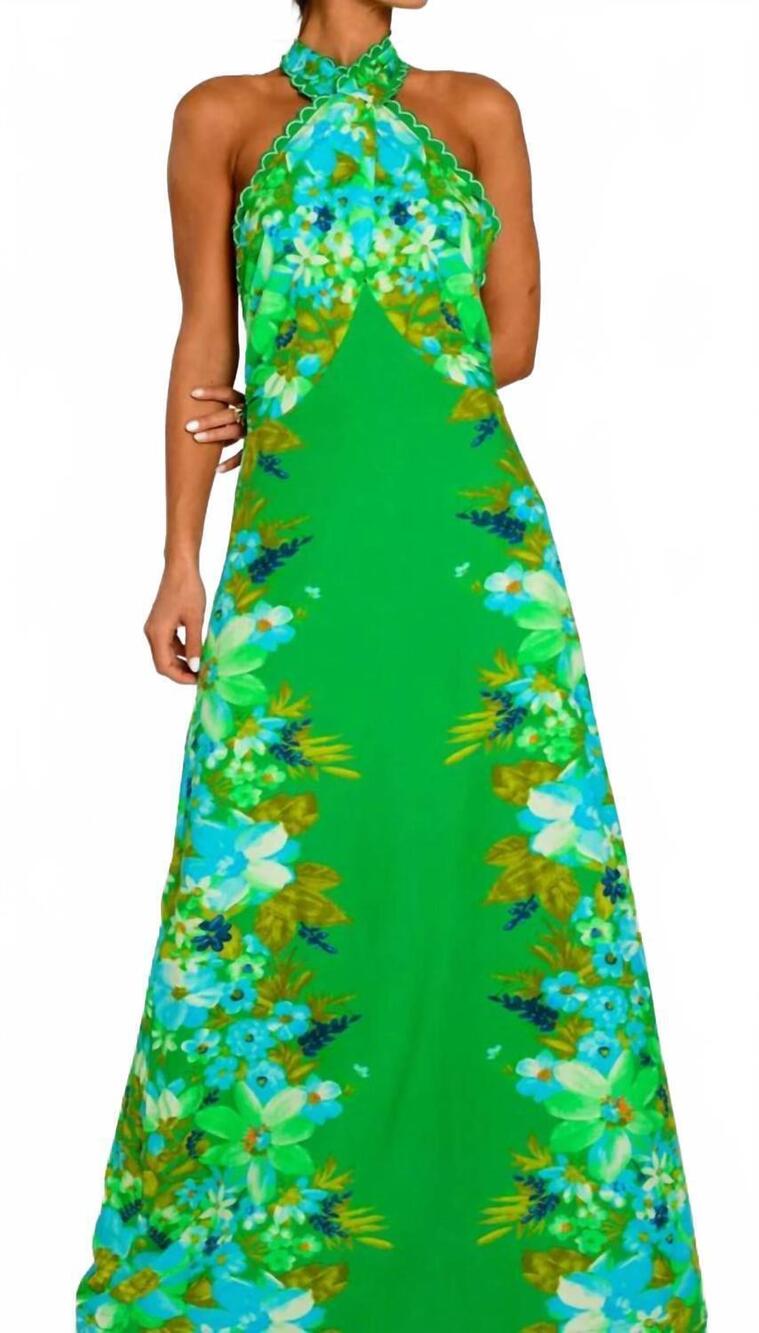 NEW ELIZABETH JAMES THE LABEL aubrey dress in hula